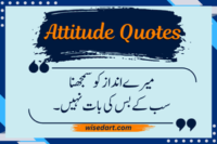 Best 30 Attitude Quotes in Urdu - Royal & Killer Lines