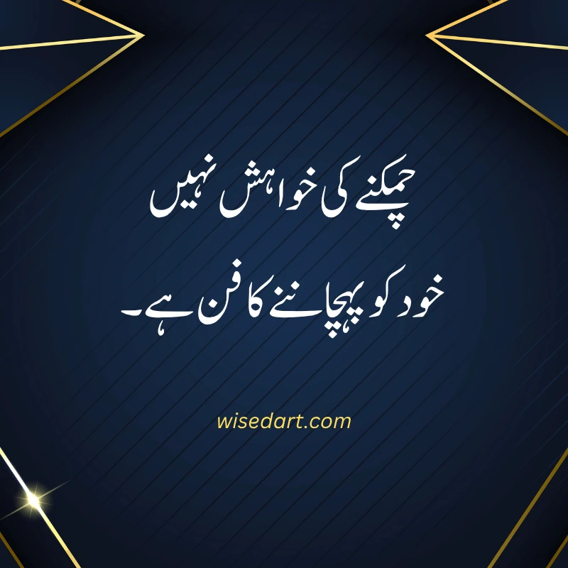 2-Line Attitude Quotes in Urdu