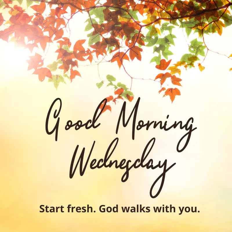 Good Morning Wednesday Blessings