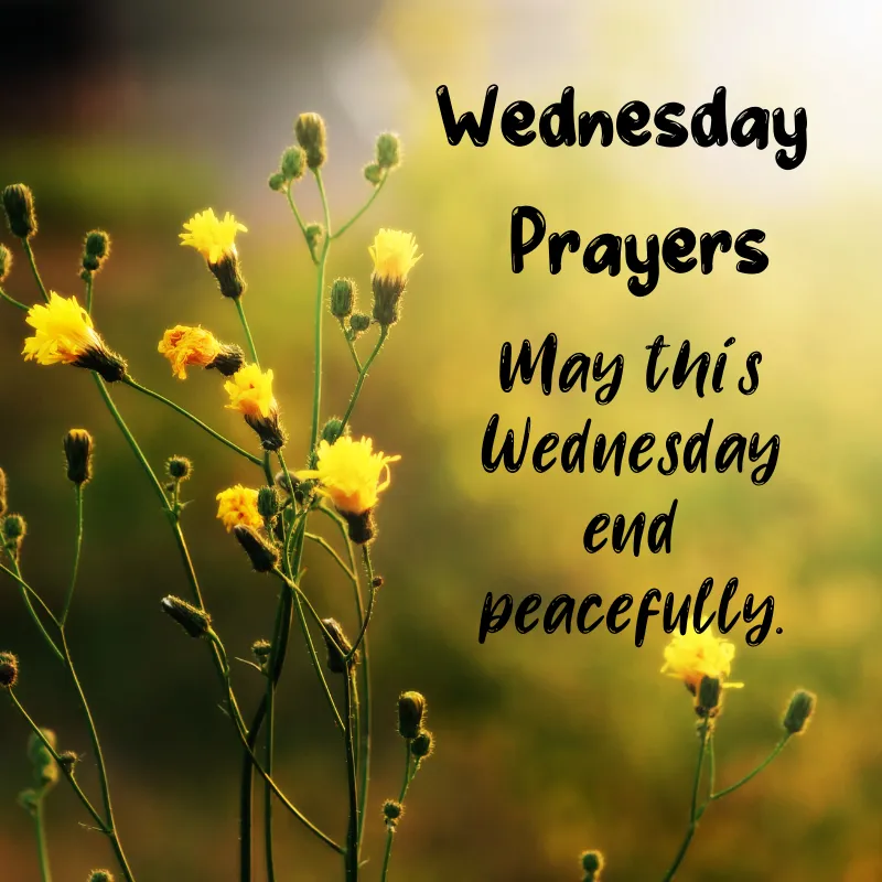 Positive Wednesday Blessings