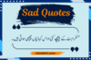 60+ Sad Quotes in Urdu Text | Life, Love & Emotional Poetry - Post Thumbnail