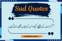 60+ Sad Quotes in Urdu Text | Life, Love & Emotional Poetry