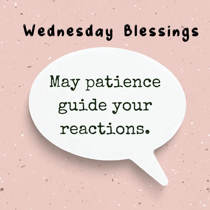 Wednesday Blessings Patience
